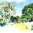 Sommerherbstliches