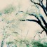 goldbaum_blaubaum